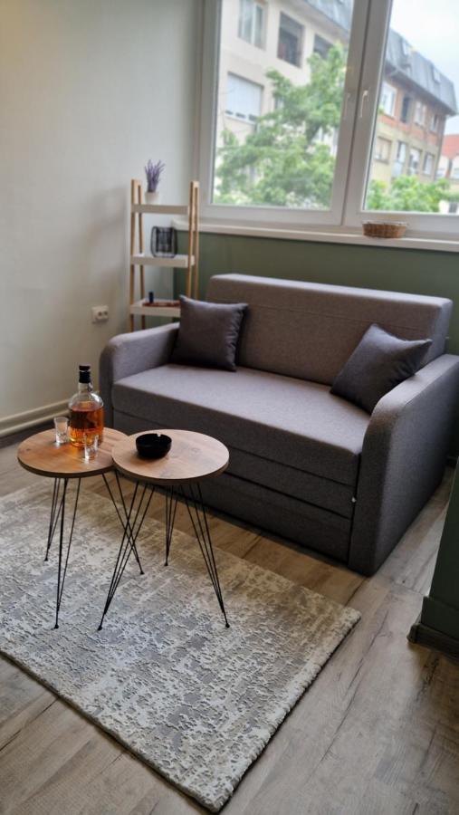 Stan Ideja Apartment โนวีซาด ภายนอก รูปภาพ